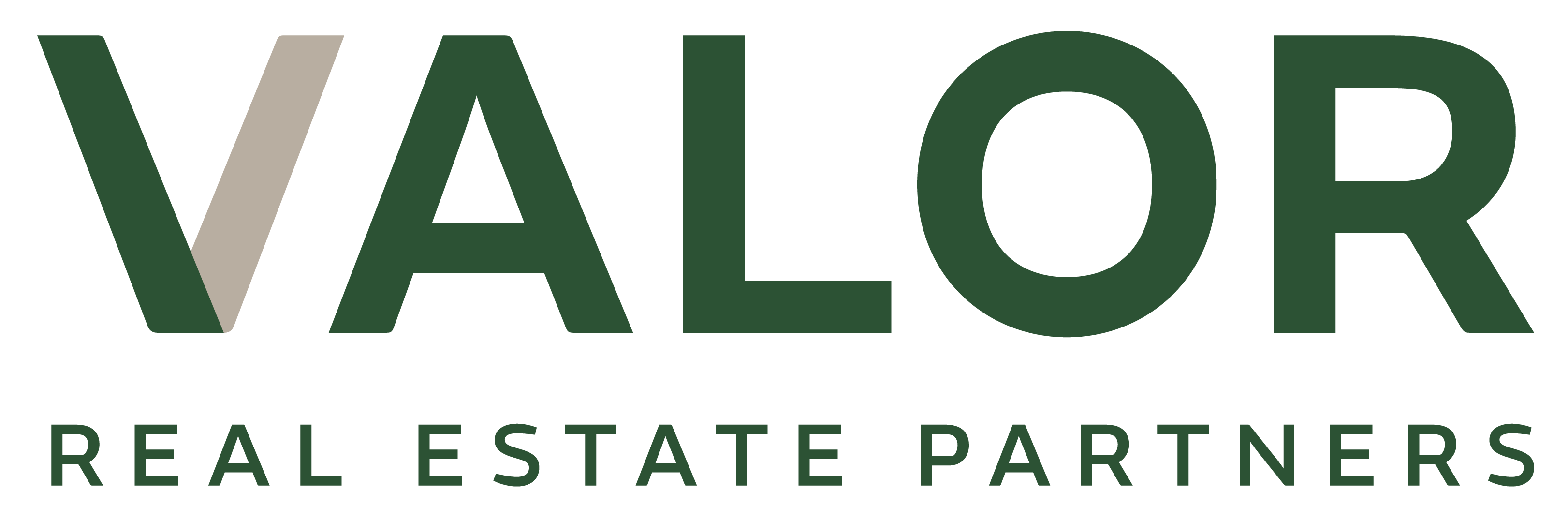 Valor Park brandmark